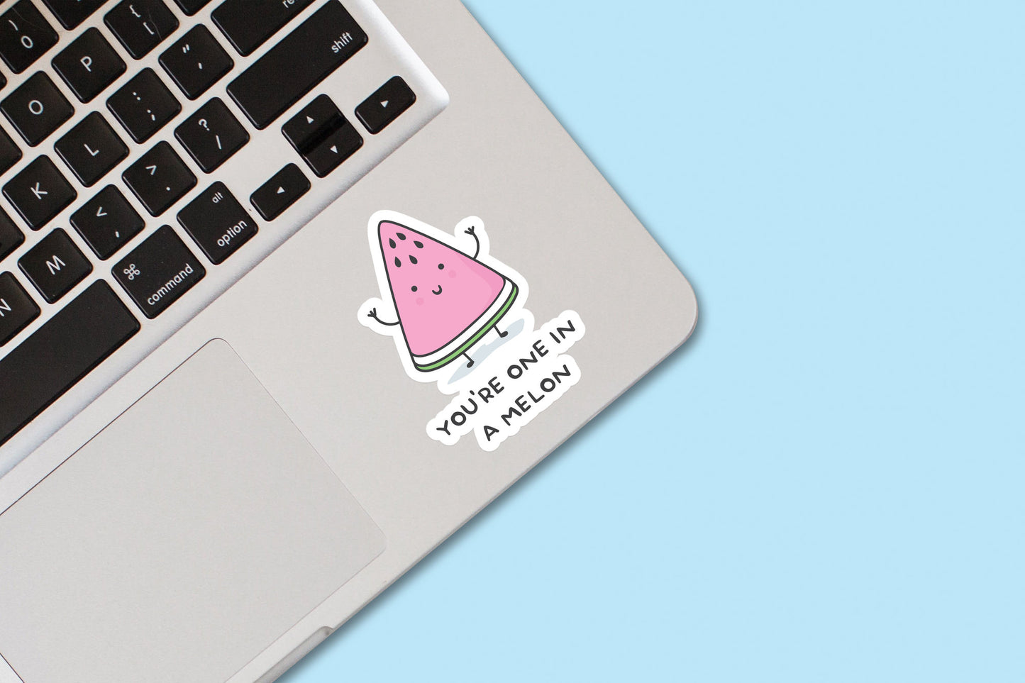 'You're One In A Melon' Sticker