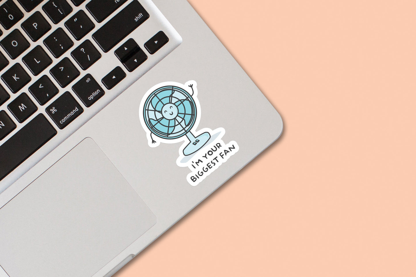 Pack of 3 | 'I'm Your Biggest Fan' | Novelty Sticker | Laptop | Notebook | Phone | Planner | Bottle | Scrapbook | Funny | Pun Sticker