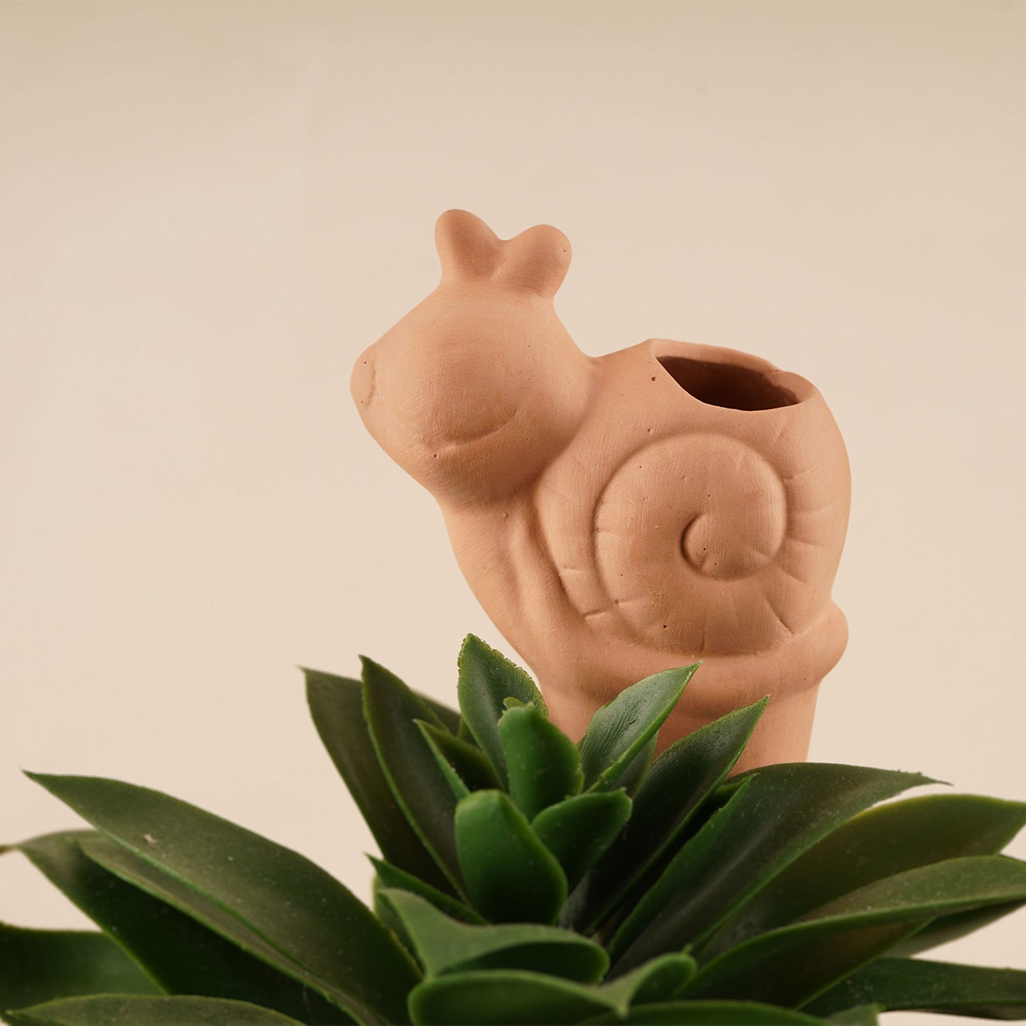 The Potting Shed Snail Water Dripper | Plant Feeder | Gift Box | Gardening Gift
