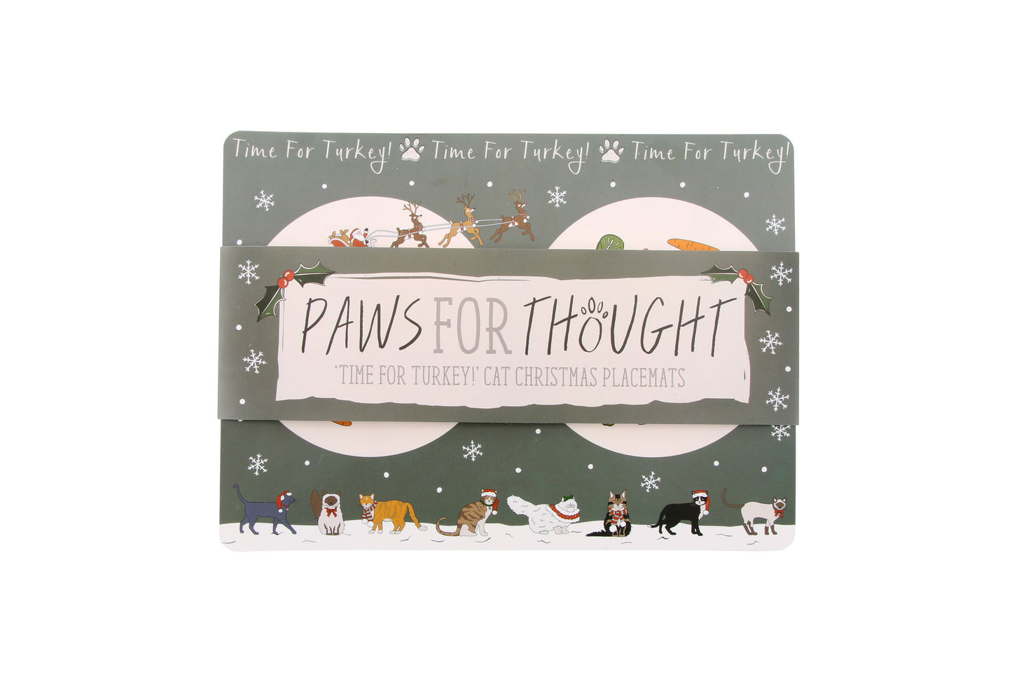 Christmas 'Time For Turkey!' Pack of 2 Cat Placemats