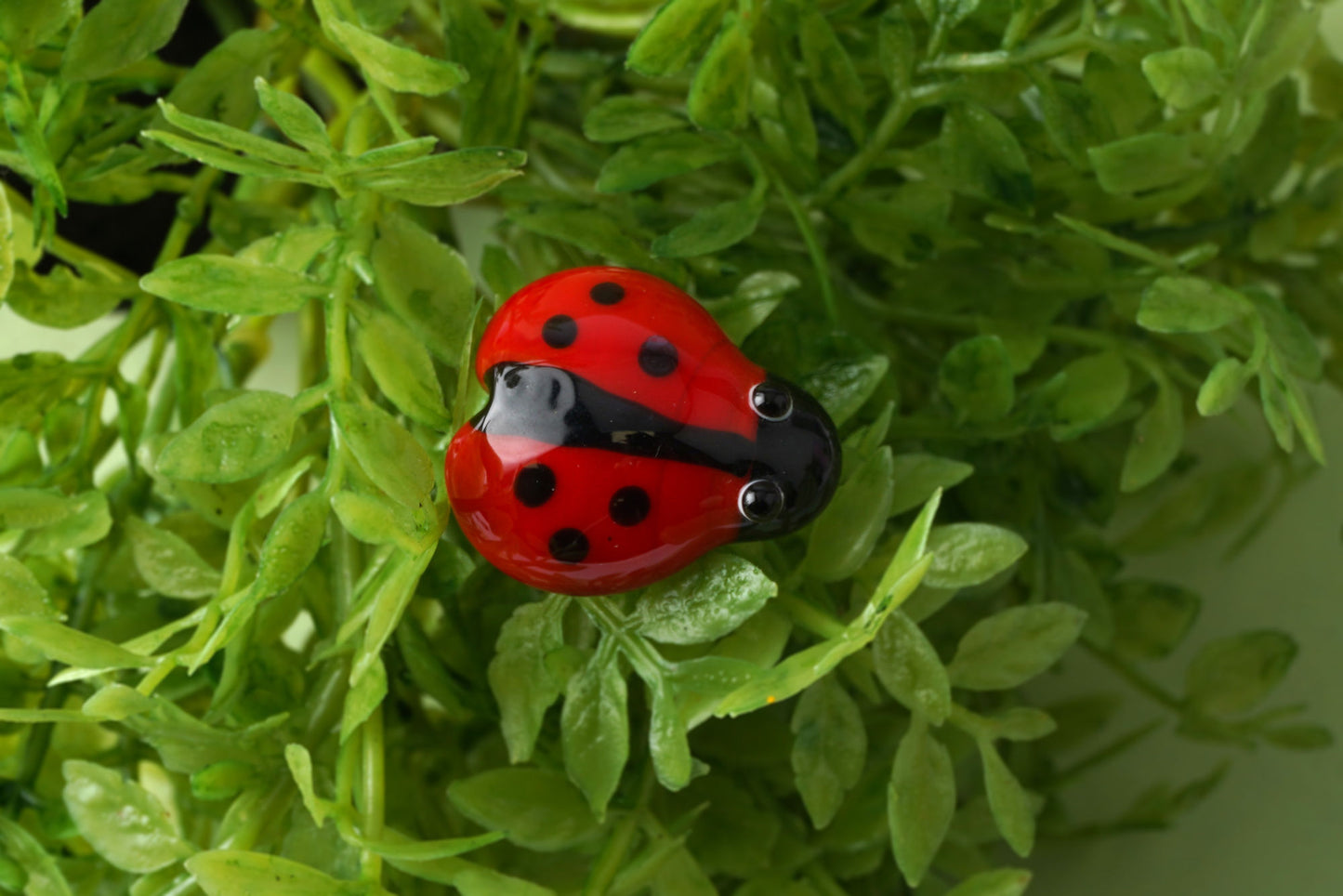 Glass Ladybird | Collectable Ornament | Decorative | Home Accessory | Gift Boxed | Gift For All