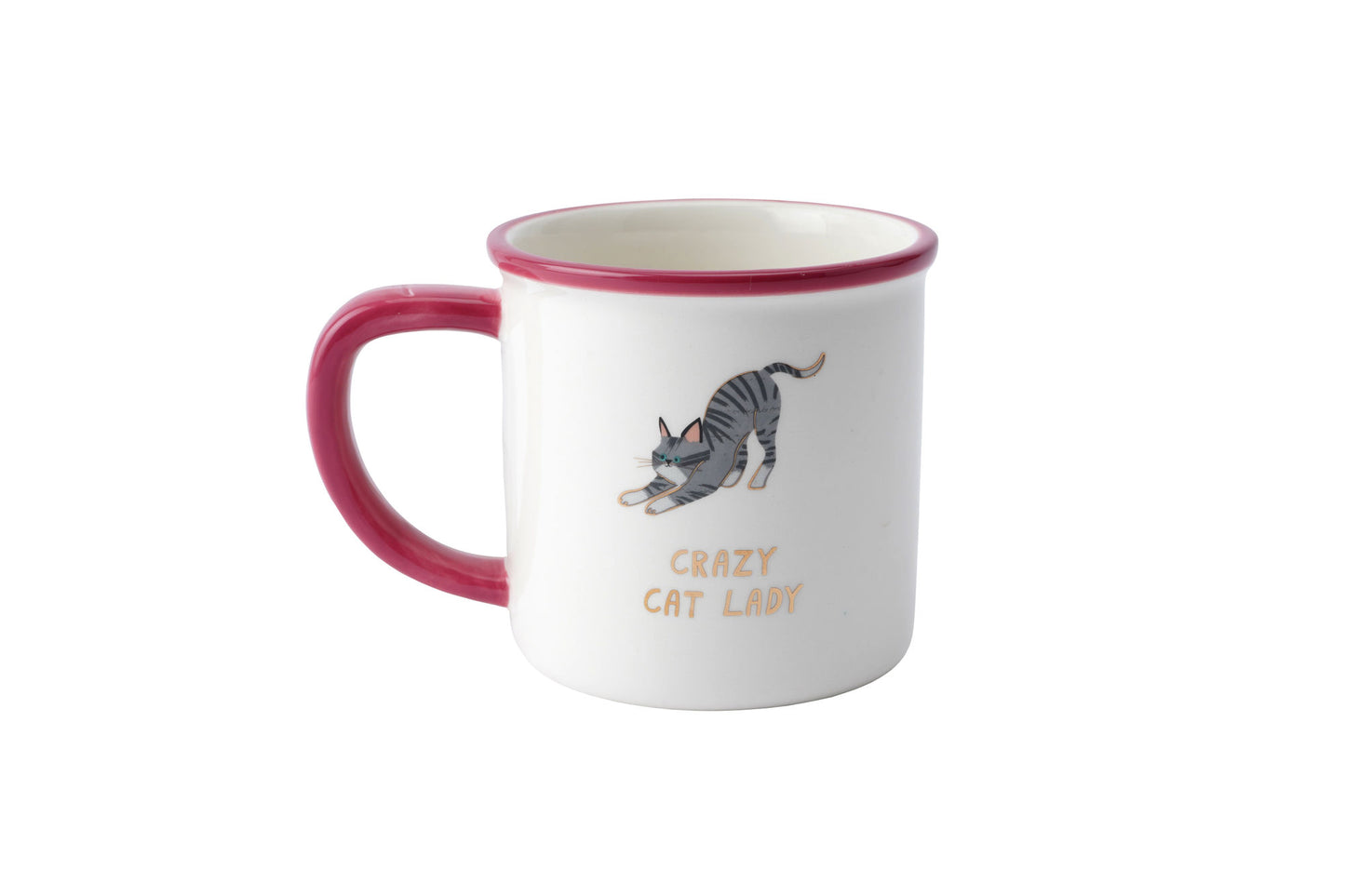 Cool Cat 'Crazy Cat Lady' Ceramic Mug in Gift Box | Artisan Coffee & Tea Cup | Ideal Gift