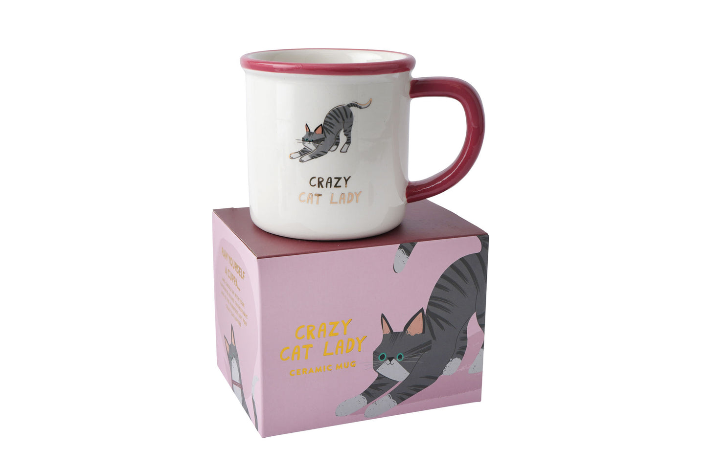 Cool Cat 'Crazy Cat Lady' Ceramic Mug in Gift Box | Artisan Coffee & Tea Cup | Ideal Gift