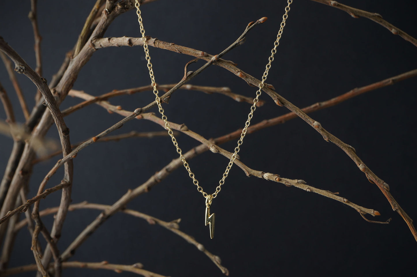 Enchanted Emporium Lightning Bolt Necklace