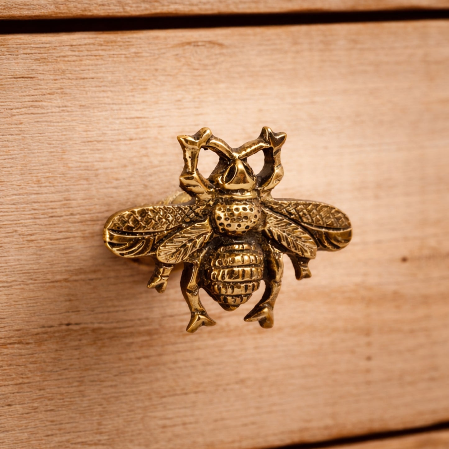 Set of 2 Golden Bee Drawer Pulls | Upcycled Cabinet Hardware