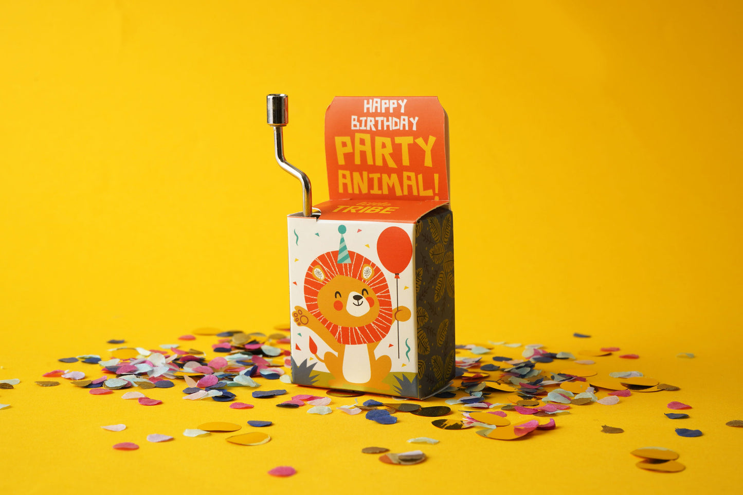 Little Tribe 'Party Animal' Birthday Music Box