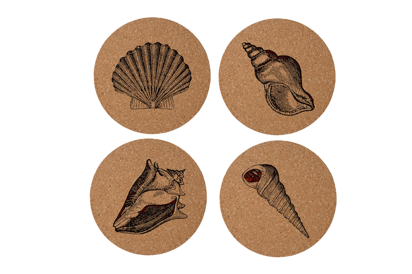 'Shells' 4 Assorted Round Cork Coasters