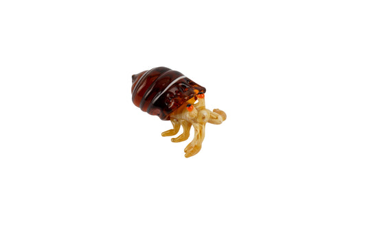 Glass Hermit Crab • Gift Box • Decoration • Ornament • Collectable • Gift For Home