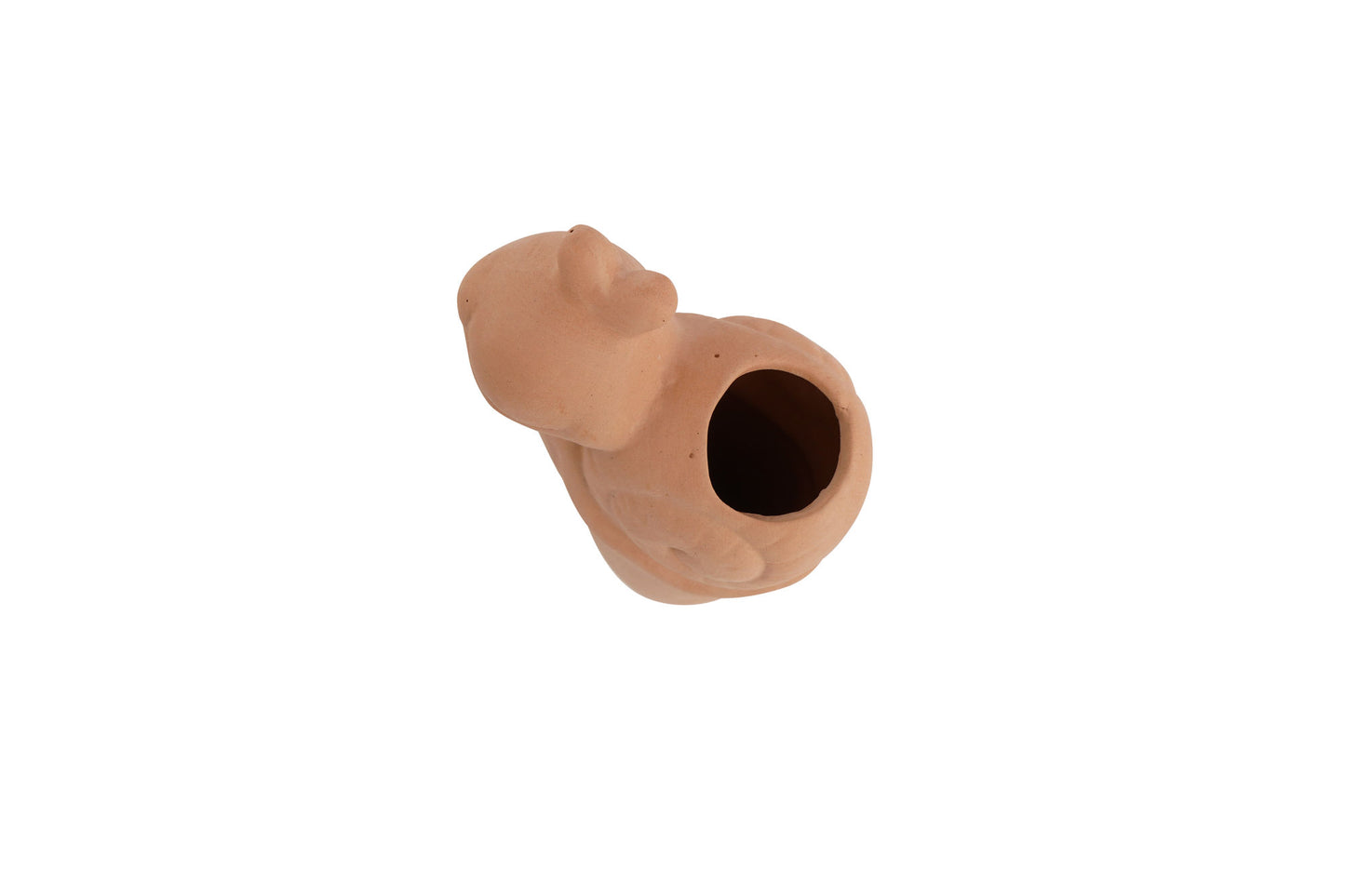 The Potting Shed Snail Water Dripper | Plant Feeder | Gift Box | Gardening Gift