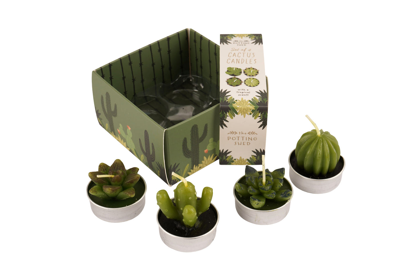 The Potting Shed Set Of 4 Cactus Candles In Box | Home Decor | Garden Accessory