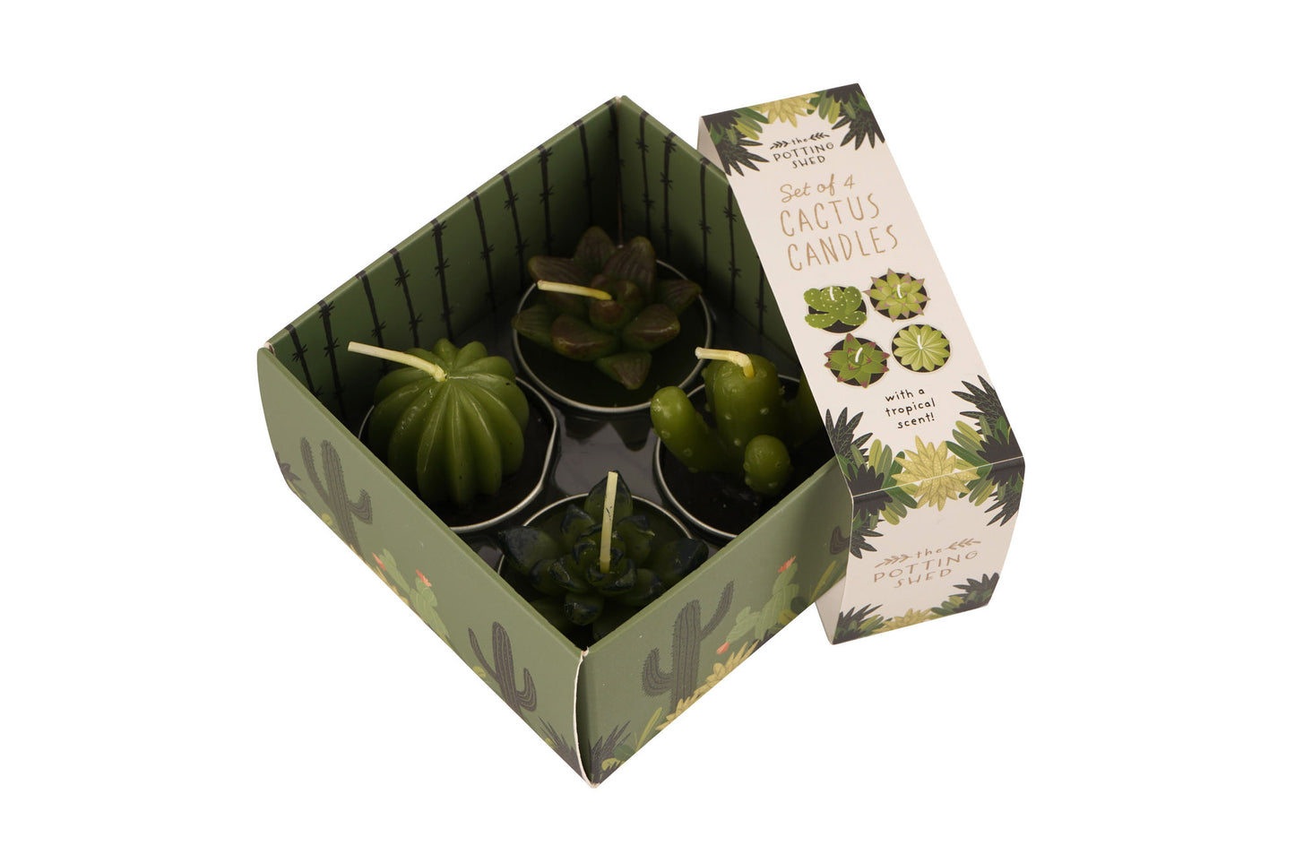 The Potting Shed Set Of 4 Cactus Candles In Box | Home Decor | Garden Accessory