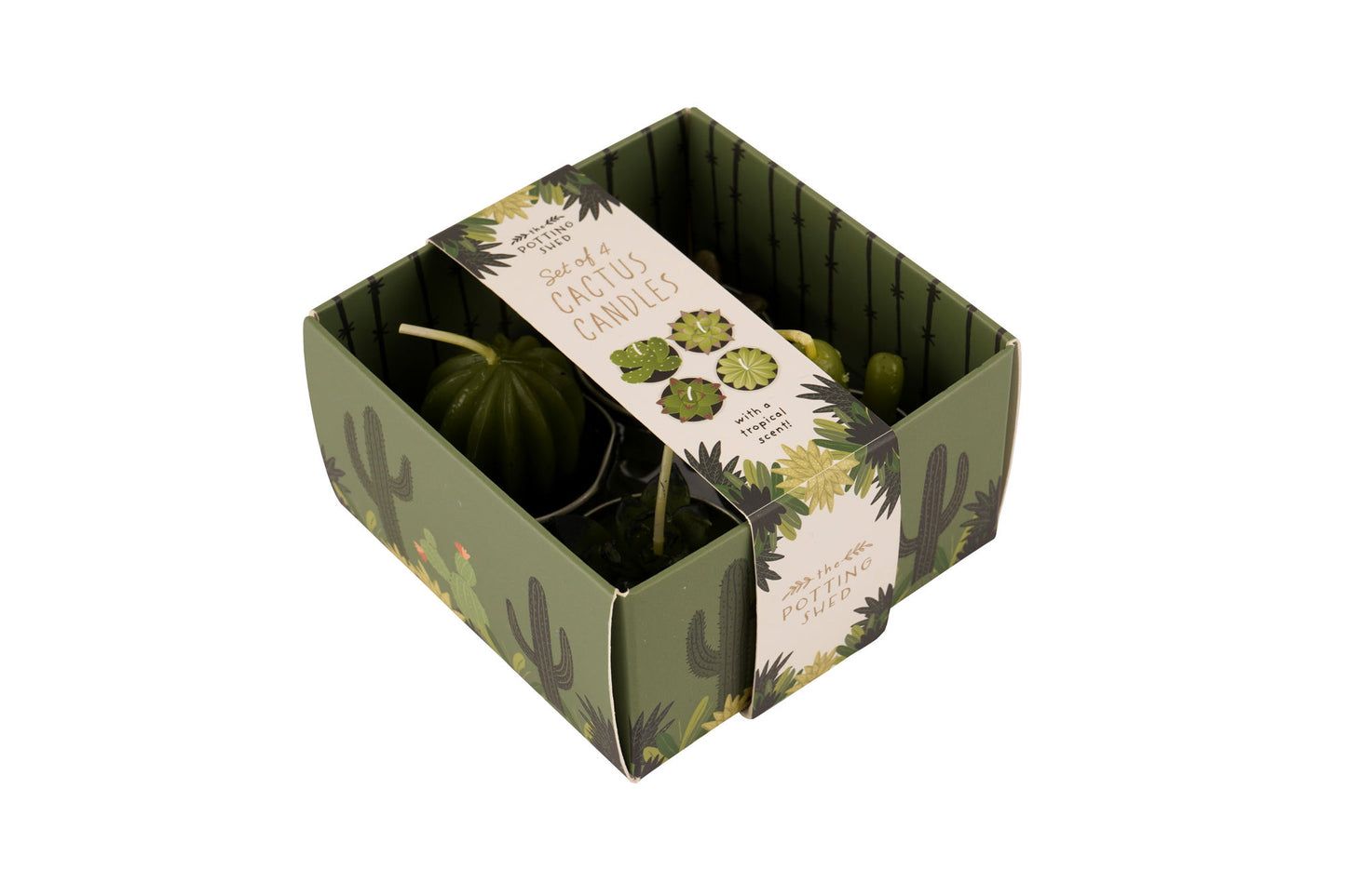 The Potting Shed Set Of 4 Cactus Candles In Box | Home Decor | Garden Accessory