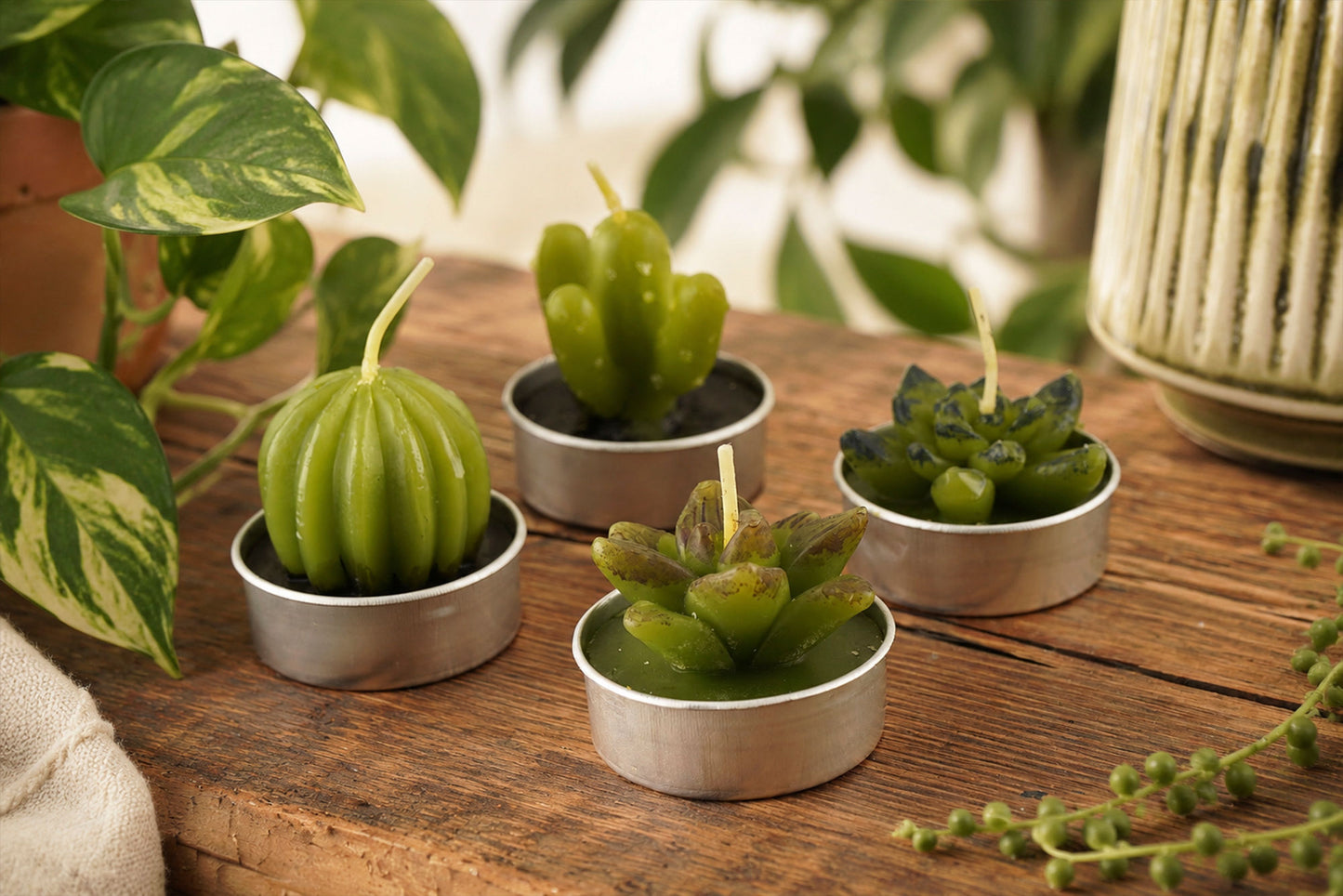 The Potting Shed Set Of 4 Cactus Candles In Box | Home Decor | Garden Accessory