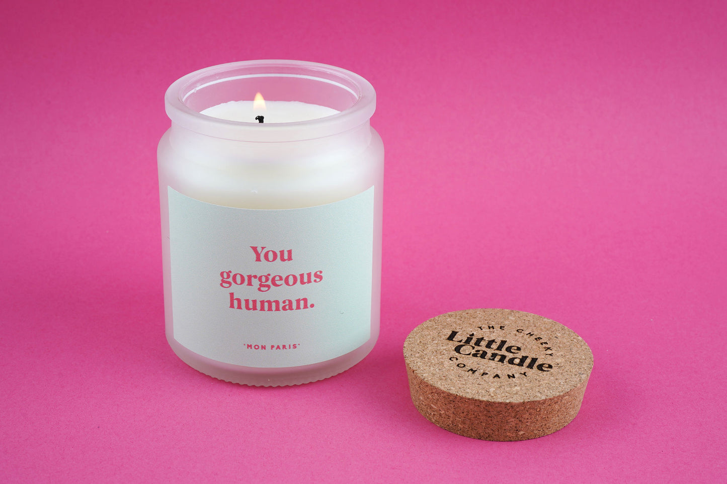 You Gorgeous Human Candle • Compliment Gift • Scented Glass Jar Candle • Gift for Friend • Self Love Gift • Just Because Candle
