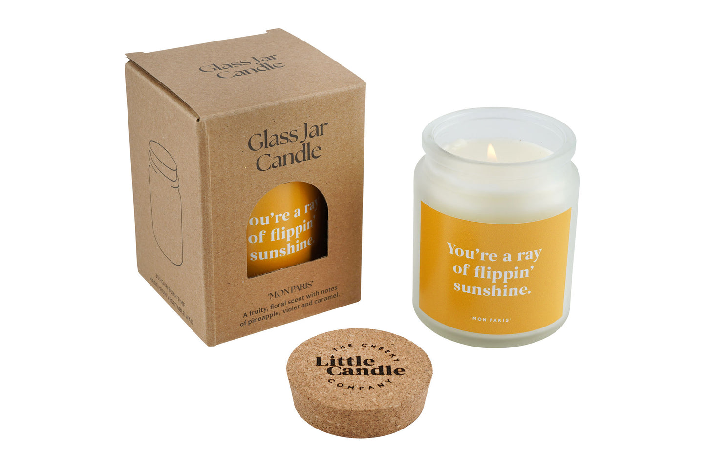 You’re a Flippin’ Ray of Sunshine Candle • Funny Compliment Gift • Scented Glass Jar Candle • Gift for Friend • Cheer Up Gift • Just Because