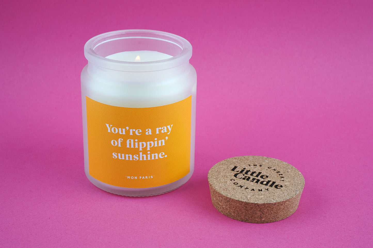 You’re a Flippin’ Ray of Sunshine Candle • Funny Compliment Gift • Scented Glass Jar Candle • Gift for Friend • Cheer Up Gift • Just Because