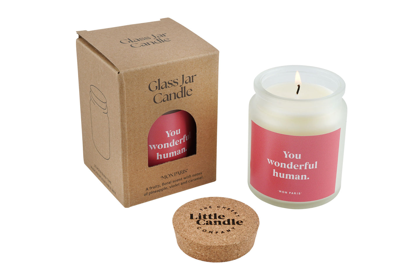 You Wonderful Human Candle • Compliment Gift • Scented Glass Jar Candle • Gift for Friend • Teacher • Appreciation • Just Because Gift