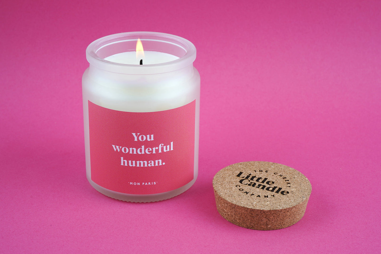 You Wonderful Human Candle • Compliment Gift • Scented Glass Jar Candle • Gift for Friend • Teacher • Appreciation • Just Because Gift