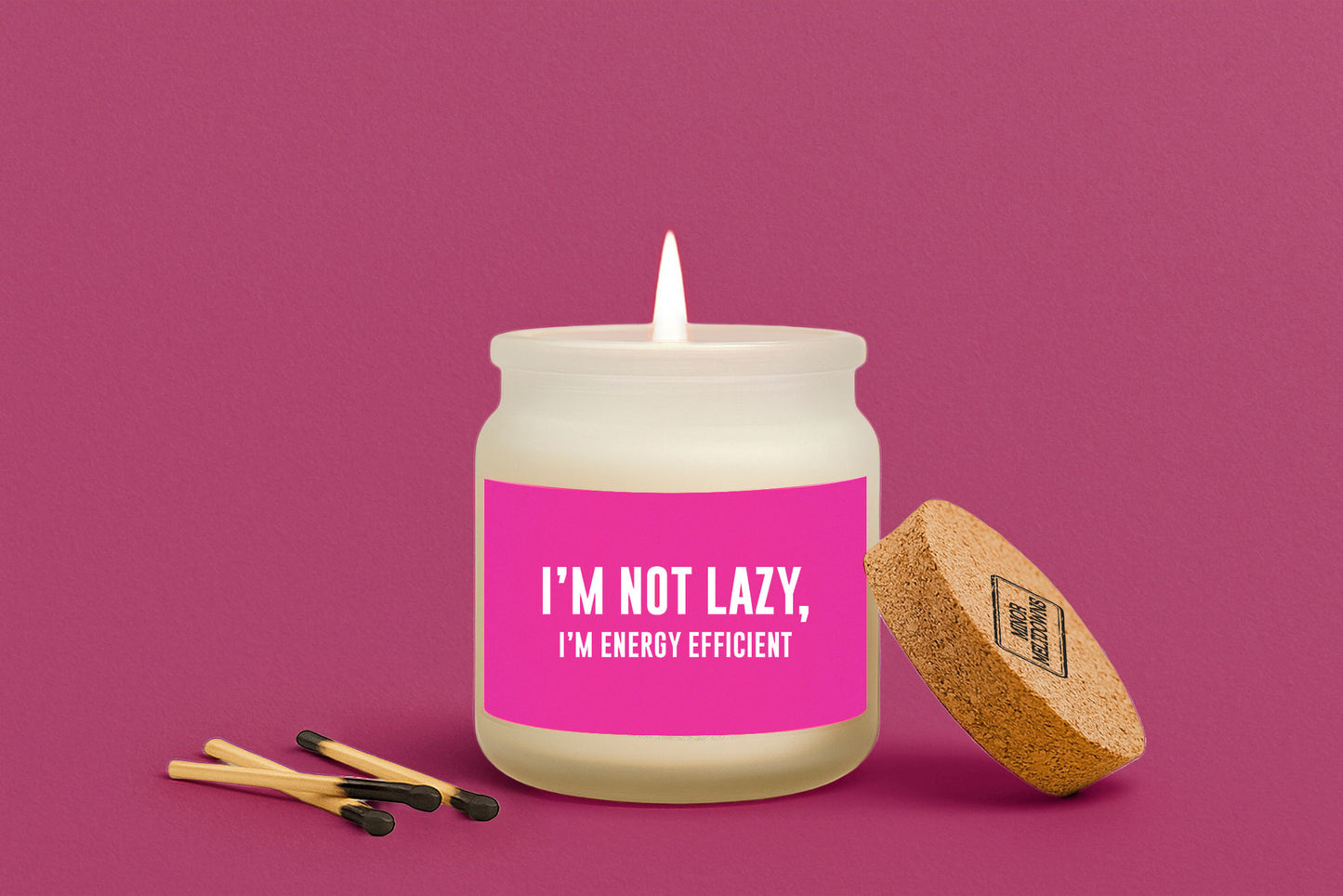 I’m Not Lazy, I’m Energy Efficient Scented Jar Candle • Gift Boxed