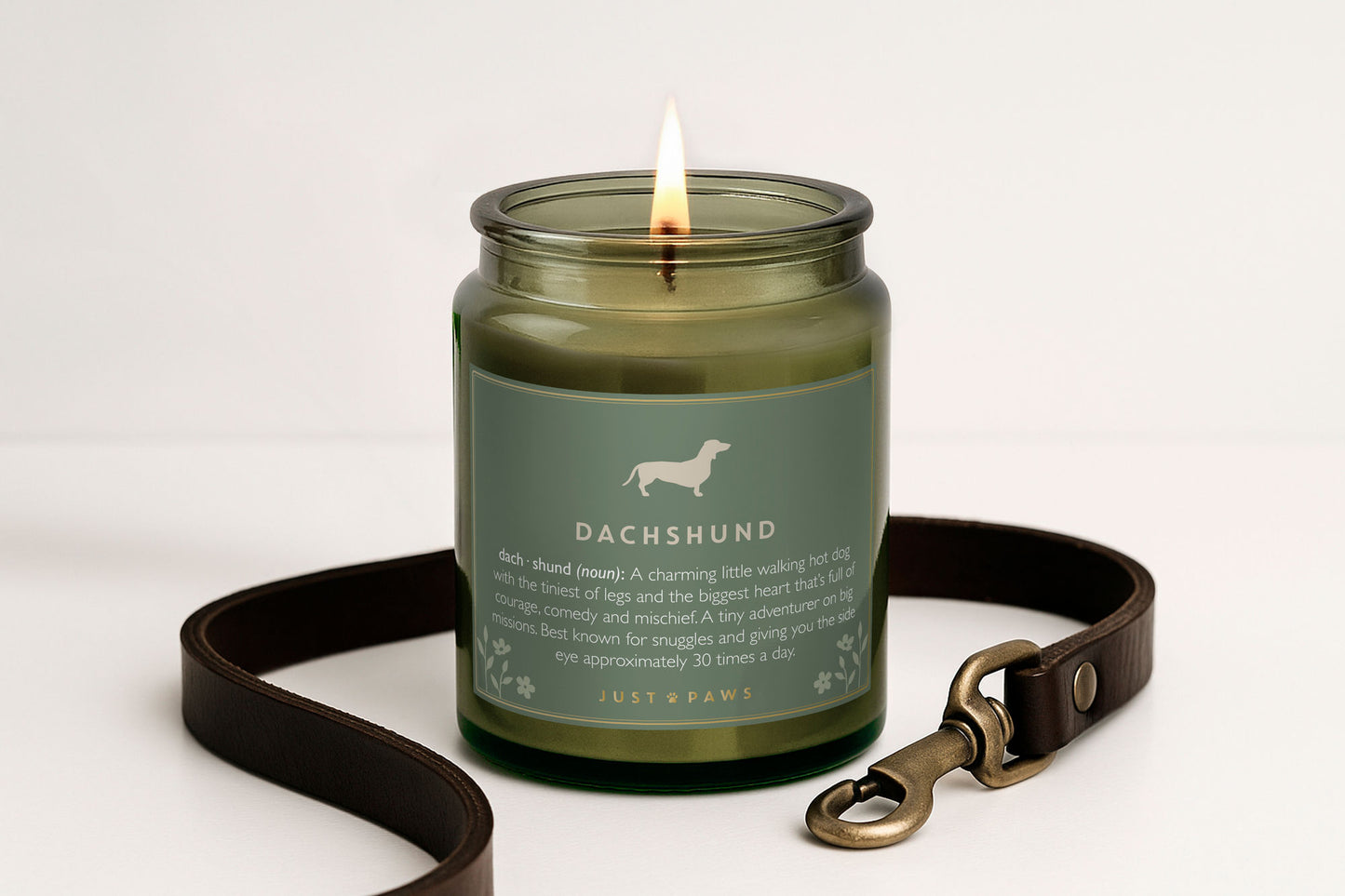 Green Jar Candle • “Dachshund Definition” • Scented Jar Candle • Gift for Her •  Gifts for Him • Home Decor | Dog Enthusiast