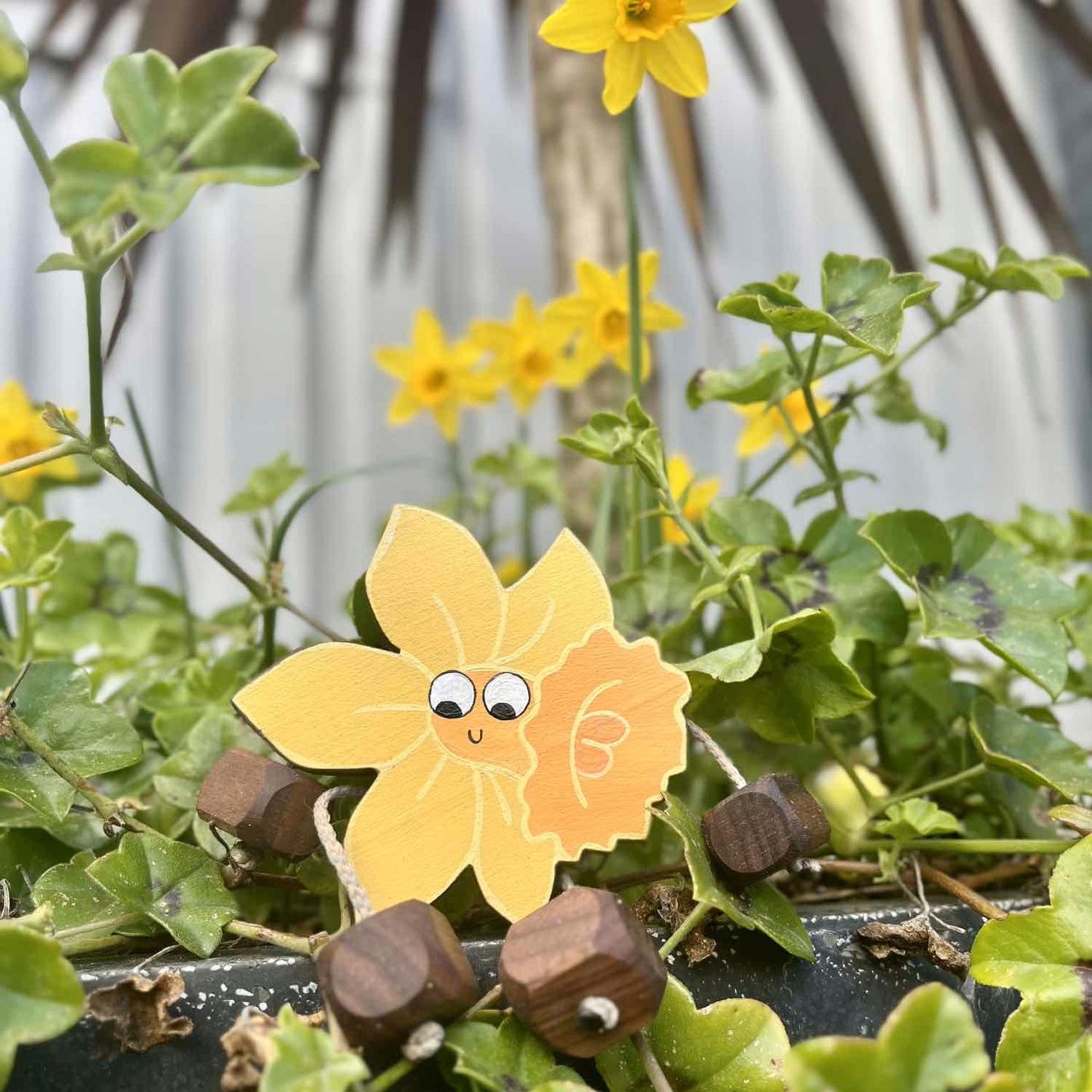 Dotty the Daffodil in Beech | Handmade Wooden Toy | UKCA CE Tested | Age 3+