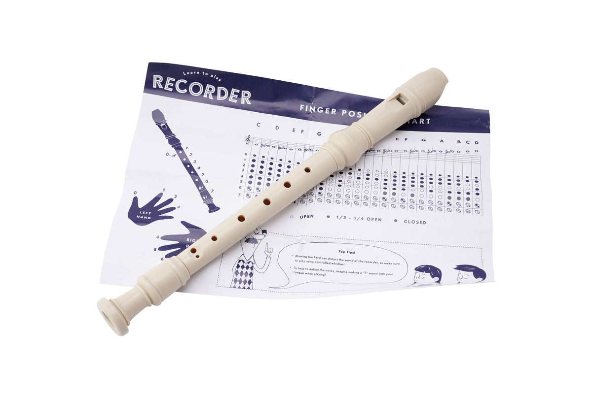 2 Recorder Instruments Recorder Wind Musical Instrument With Pouch – The CGB Gift Shop