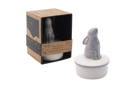 Send With Love Ceramic Stargazing Hare Trinket Pot