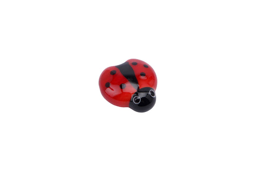 Glass Ladybird
