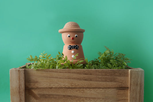 Mr. Plant Pot Terracotta Plant Feeder